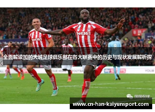 全面解读加的夫城足球俱乐部在各大联赛中的历史与现状发展解析探