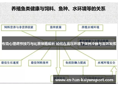 布克心理调节技巧与比赛策略解析 如何在高压环境下保持冷静与高效发挥