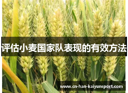 评估小麦国家队表现的有效方法 评估小麦国家队表现的有效方法